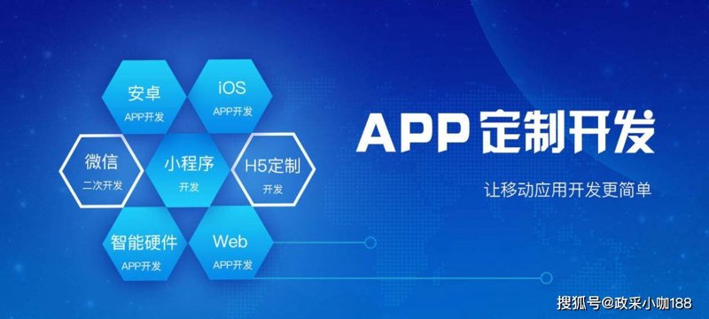 应用软件开发